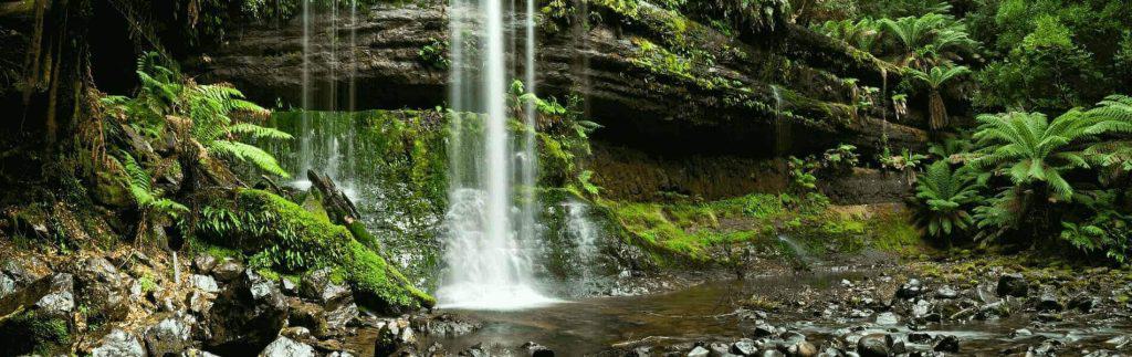 Tasmania in Depth
