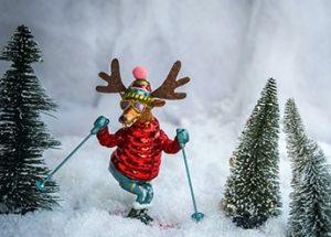 Christmas Tours