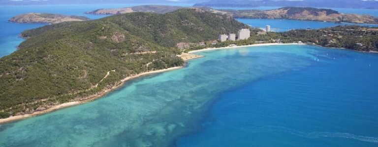 Hamilton Island coral reef