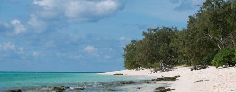 Heron Island