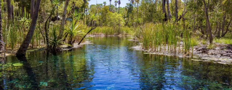 Mataranka Hot Springs, Mataranka