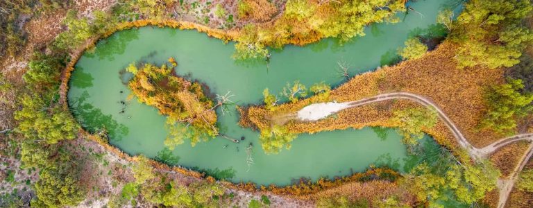 Murray River, Riverland, South Australia