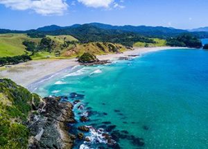 NZ