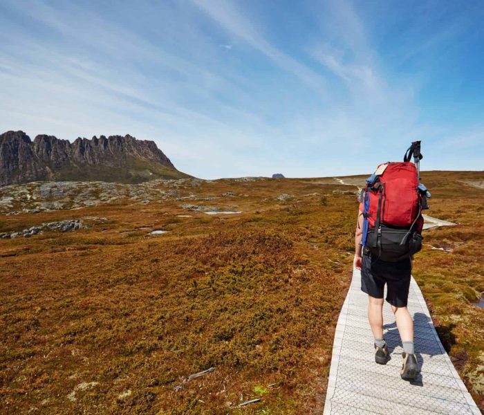 Overland Trail, Cradle Mountain_dreamstime_xxl_37037639