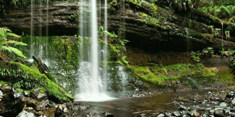 Tasmania in Depth